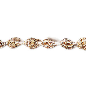 Bead, tiger nassa shell (natural), 7x4mm-12x7mm, Mohs hardness 3-1/2. Sold per 36-inch strand.
