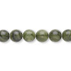 Saguaro 'Jasper'' Gemstone Beads and Components