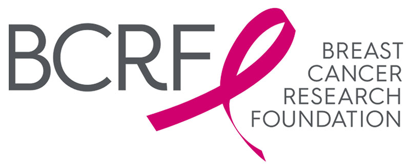 Jewelry Making Article - The Breast Cancer Research Foundation - Fire ...