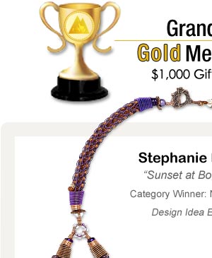 Grand Prize Gold Medal Winner: Stephanie J. Eddy