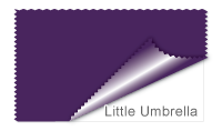 Little Umbrella