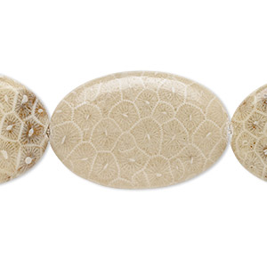 Bead, fossil coral (natural), 30x20mm flat oval, B grade, Mohs hardness 6-1/2 to 7. Sold per 15-1/2&quot; to 16&quot; strand.