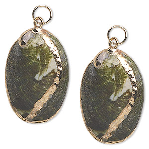 Focal, abalone shell (natural) and gold-finished steel, green and iridescent white, 34x21mm. Sold per pkg of 2.