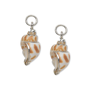 Drop, areola shell (natural) and silver-plated steel, 23x12mm. Sold per pkg of 2.