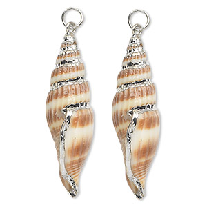 Focal, miter shell (natural) and silver-plated steel, white / cream / brown, 40x12mm. Sold per pkg of 2.