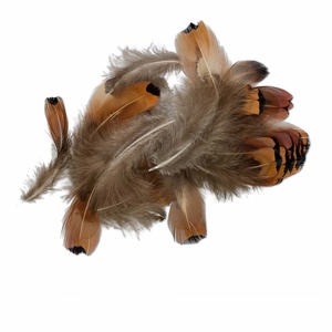 Feather, pheasant (natural), 1-1/2 x 1/2 to 4x1 inches with natural heart. Sold per 0.07-ounce pkg, approximately 60-100 feathers.