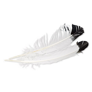 Feather, eagle (imitation), black and white, 10mm wide, 14 inches. Sold per pkg of 2.