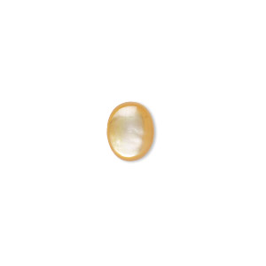 Cabochons Golden Lip Shell Gold Colored