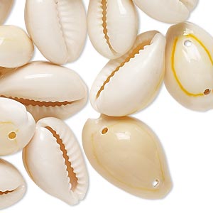 Bead, cowrie shell (natural), 15x7mm-25x12mm double-drilled, Mohs hardness 3-1/2. Sold per 130-gram pkg.