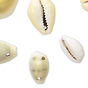 Bead, monita cowrie shell (natural), 16x10mm-25x18mm, Mohs hardness 3-1/2. Sold per 130-gram package, approximately 60-70 shells.
