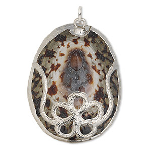 Focal, common turtle limpet shell (natural) and silver-plated copper, brown, 36x28mm-44x34mm, Mohs hardness 3-1/2. Sold individually.