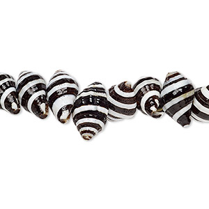 Bead, whelk shell (natural), 10x6mm-14x7mm shell, Mohs hardness 3-1/2. Sold per 15-1/2&quot; to 16&quot; strand.